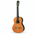 Yamaha Acoustic Guitars